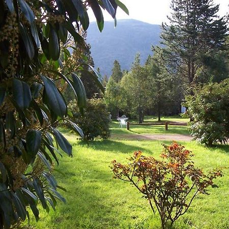 Cabanas Auquin Lemu Lago Puelo Dış mekan fotoğraf